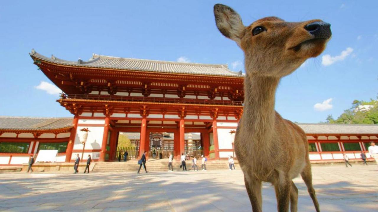 中川西 地下鉄今里駅一戸建 Samurai House Guest House Imazato 難波直通 最大7名 Osaka Eksteriør billede